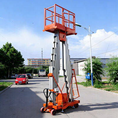 Plateforme élévatrice à mât double Capacité de charge 250 kg Hauteur 10 m